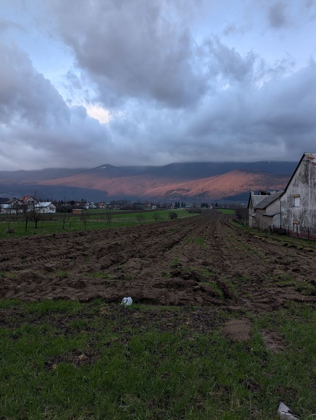 科雷尼察
