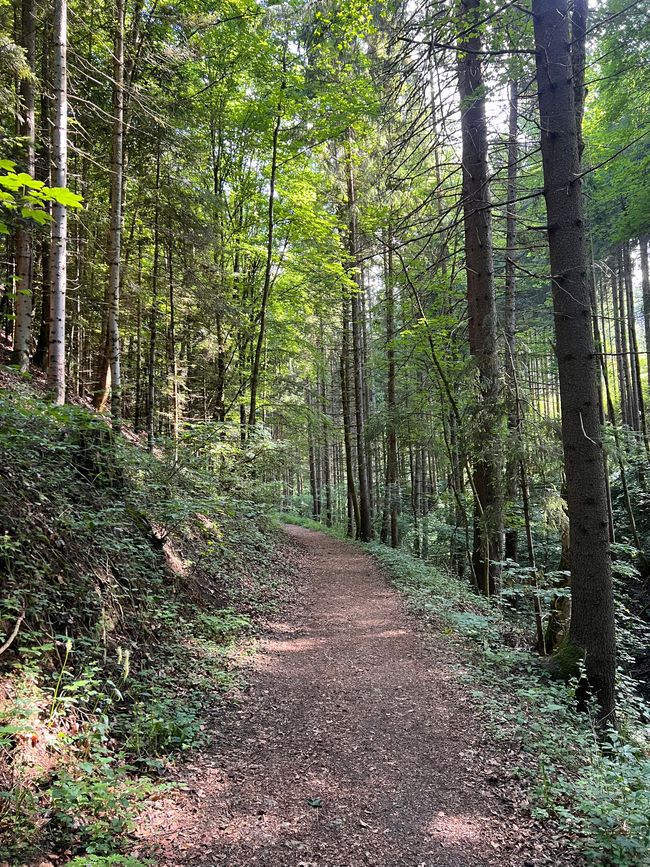 28 Wutachschlucht Pro Wolermoos