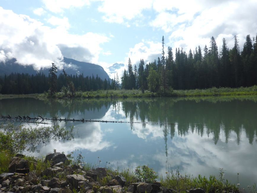 Mud Creek 