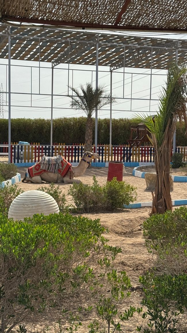 Vacances à la plage