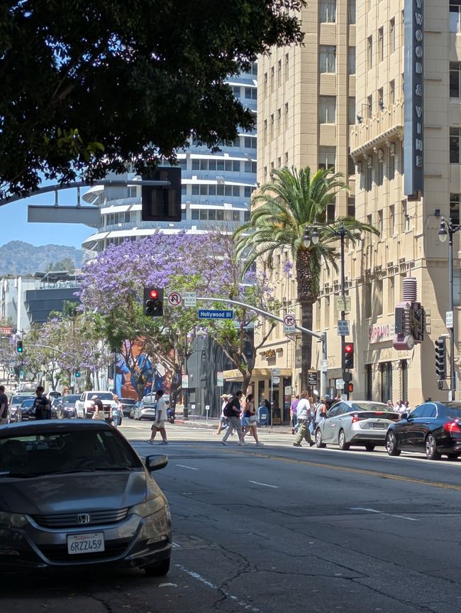 Hollywood