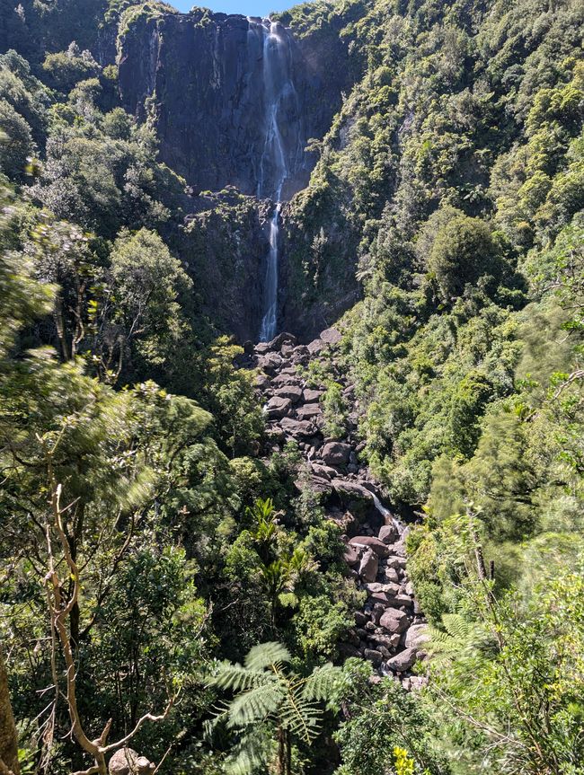 Wairere falls & Te Waihou walkway