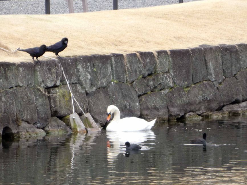 Tokyo, 16 mars 2026