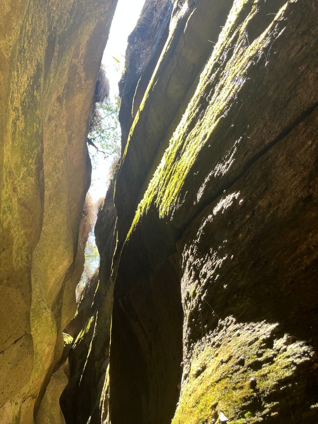 Tag 8
Qorihuilca Canyon und auf dem Markt einkaufen