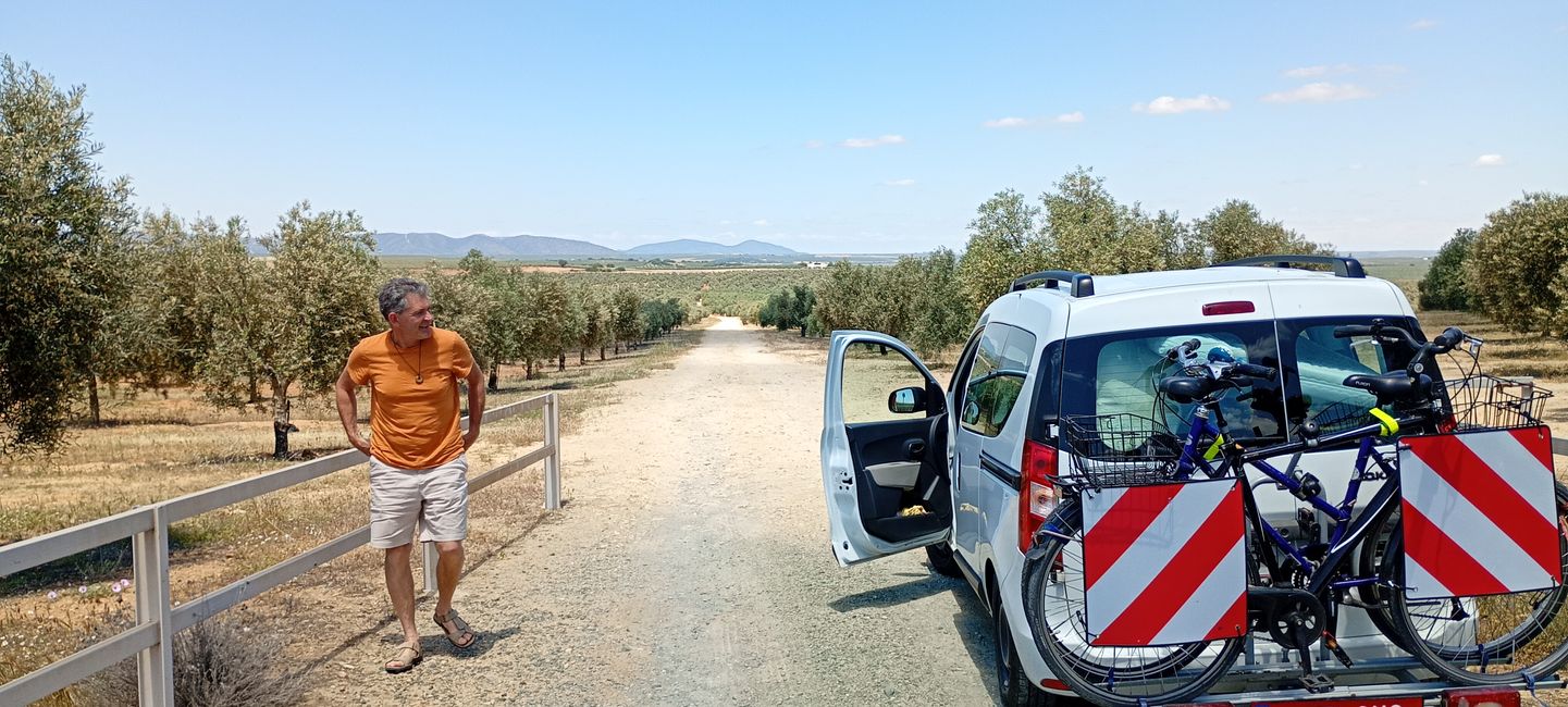 Ronda und spanische Tannen