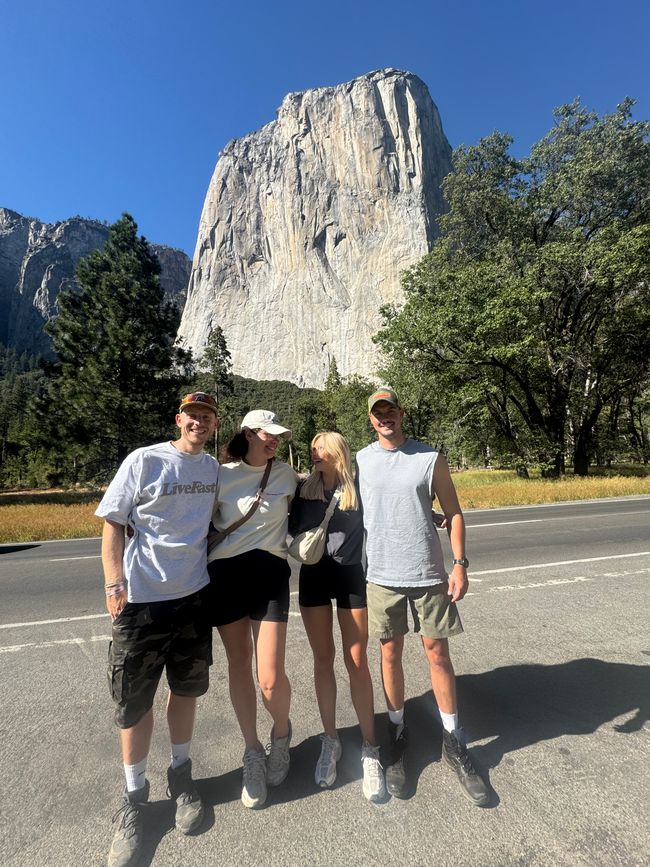 Tag 9 - Ultimo giorno nello Yosemite e un momento indimenticabile con un orso 🐻