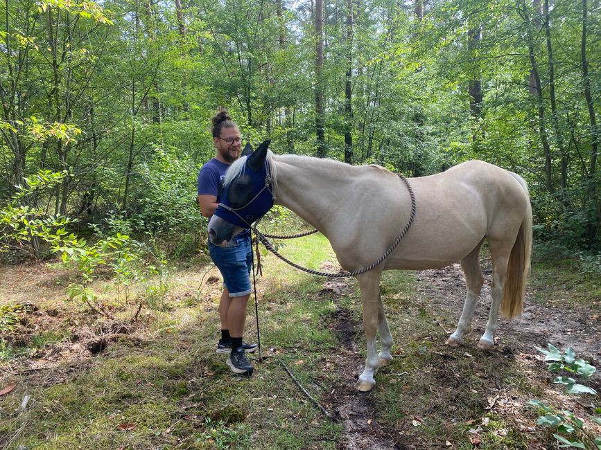 und tauchte wie wir erneut in den Wald ein