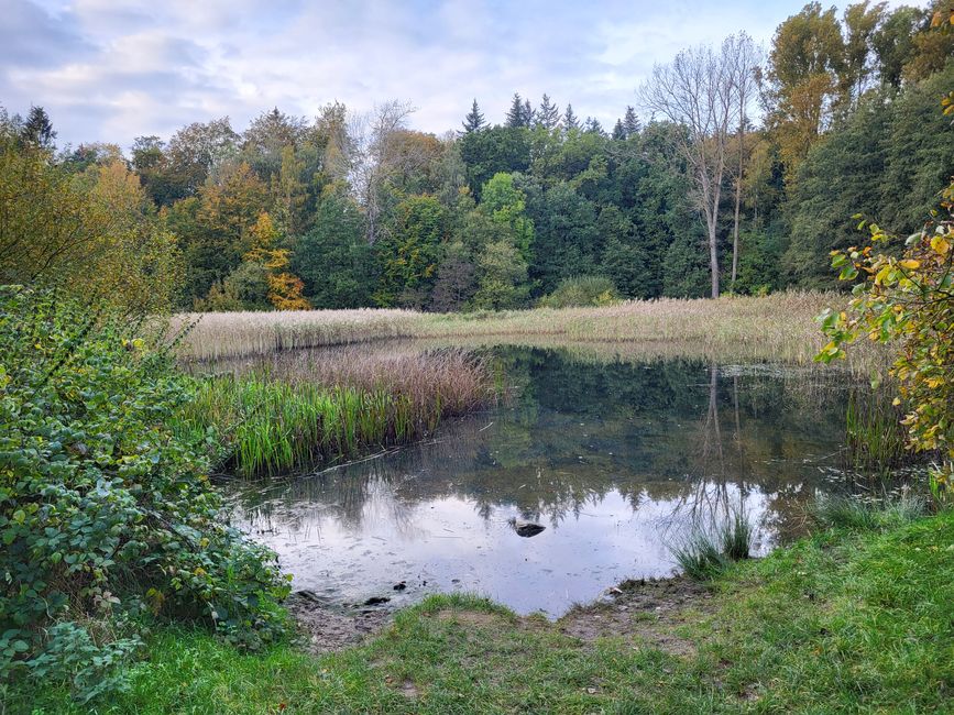 Área natural de Hüttener Klosterteiche