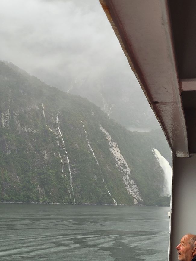 Tag 87 von 175: Kreuzfahrt rund um die Welt - Kreuzen im Milford Sound/Neuseeland