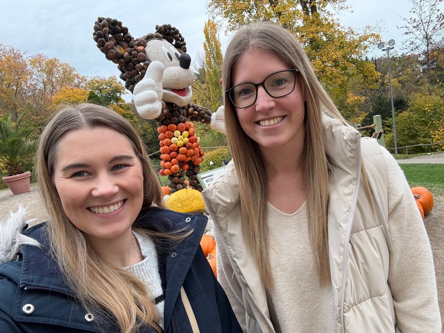📍 Esposizione di zucche, Ludwigsburg/ 📍 Pumpkin exhibition, Ludwigsburg