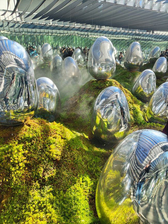 Beim genauen Hinsehen bin ich da auch drauf. Und beim Umschubsen machen die Dinger Geräusche.