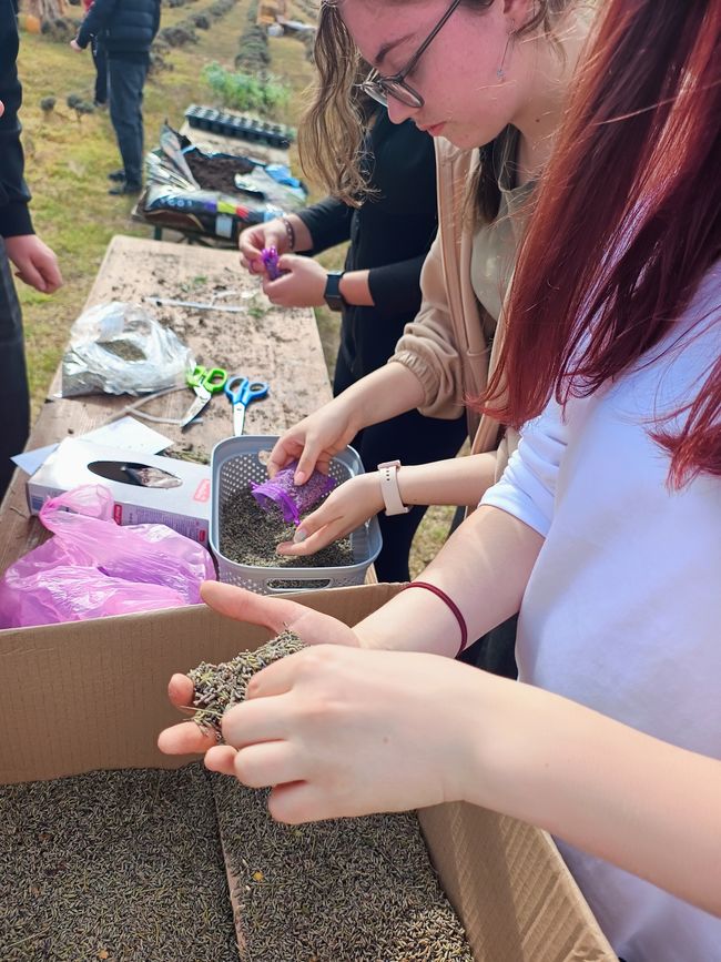 Nature, animaux et solidarité : notre excursion à « Royal Lavendel » à Florești