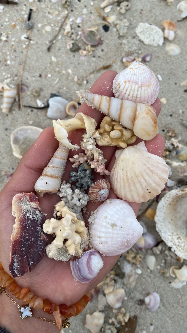 About the KariKari beach to Whangarei