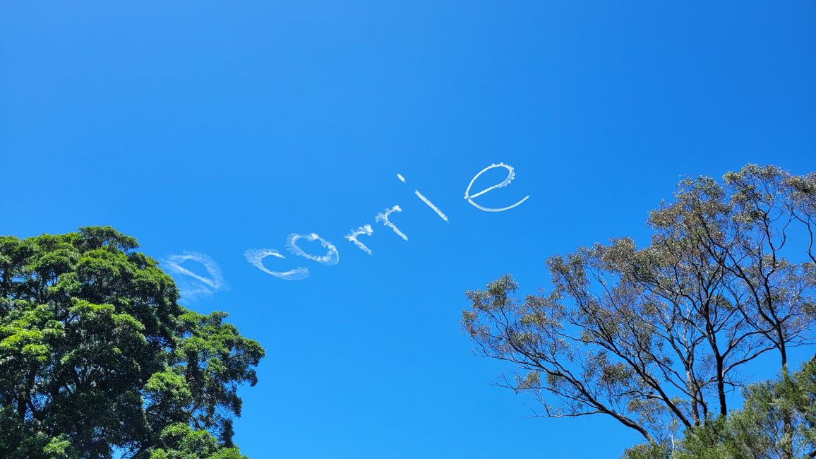 Heute königliches Programm – Royal Botanical Garden in Sydney