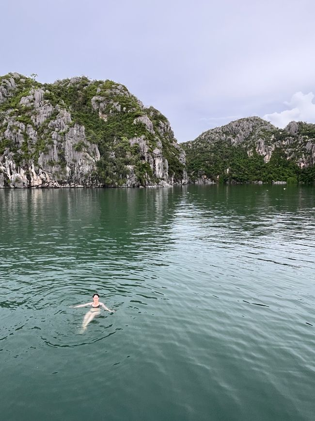 现在开始旅游了…