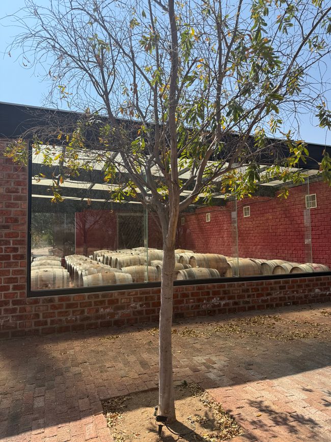Namibia 2k25 🦓🏜️🐘