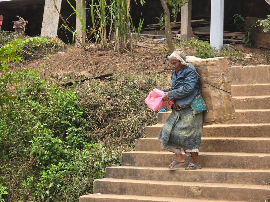 Muang Ngoy