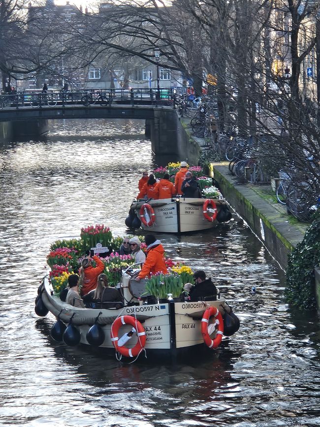 Die Boote fahren zum Tulpentag