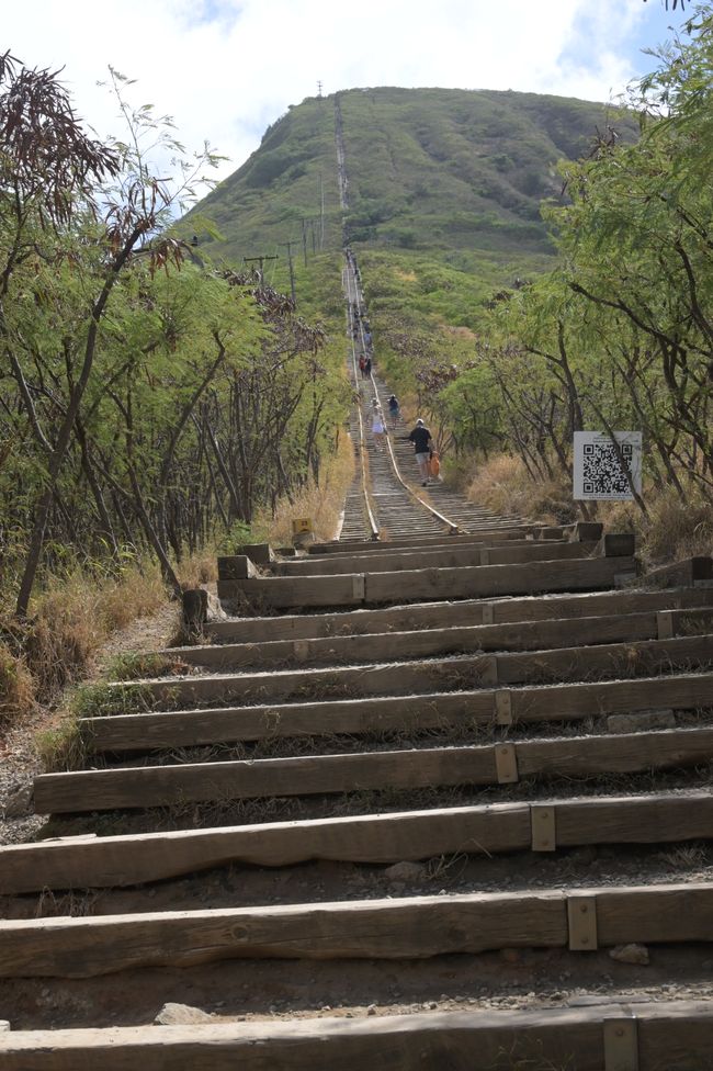 Côte Est - Vue depuis Koko Head