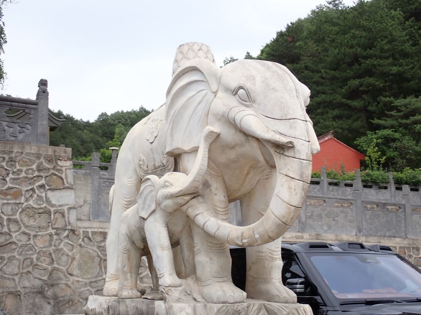 Elefante madre con cucciolo