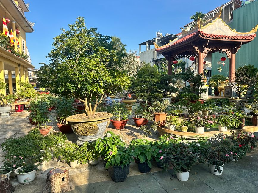 Hoi An 1