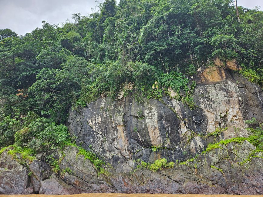 51. Tag Suva, Fiyi 14.01.2026