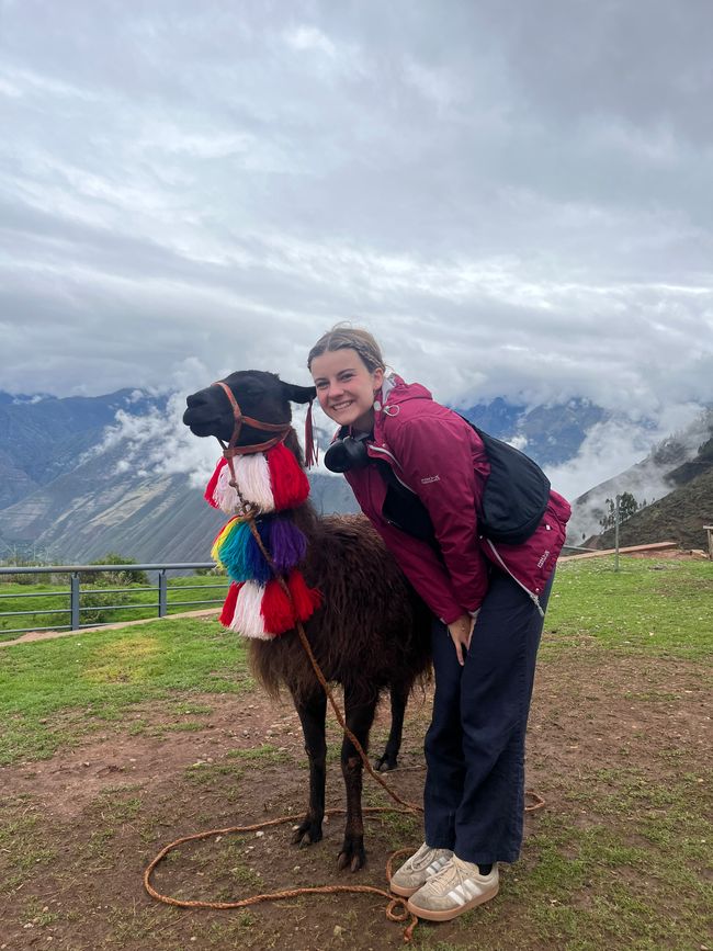 Ab zum Machu Picchu