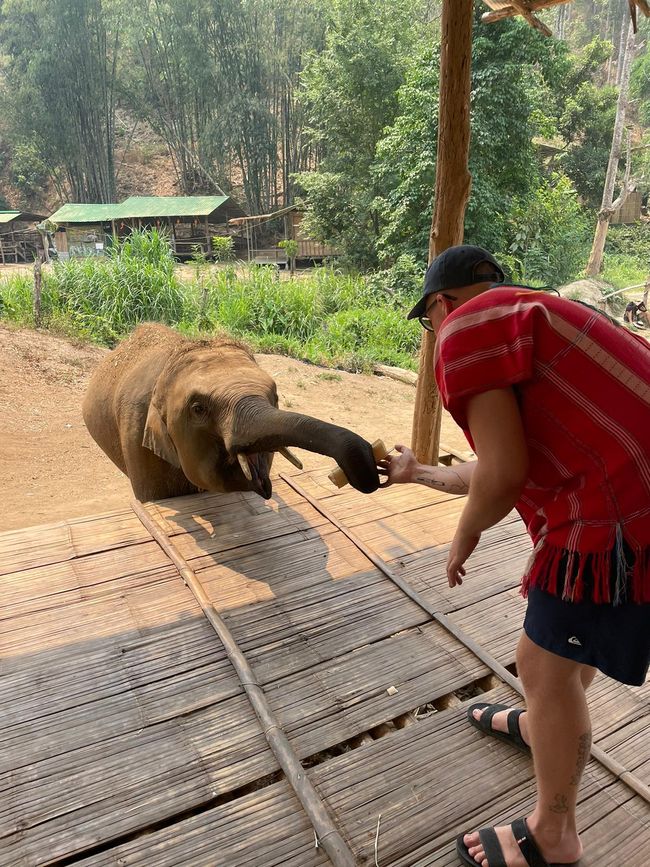 Julian mit Elefant