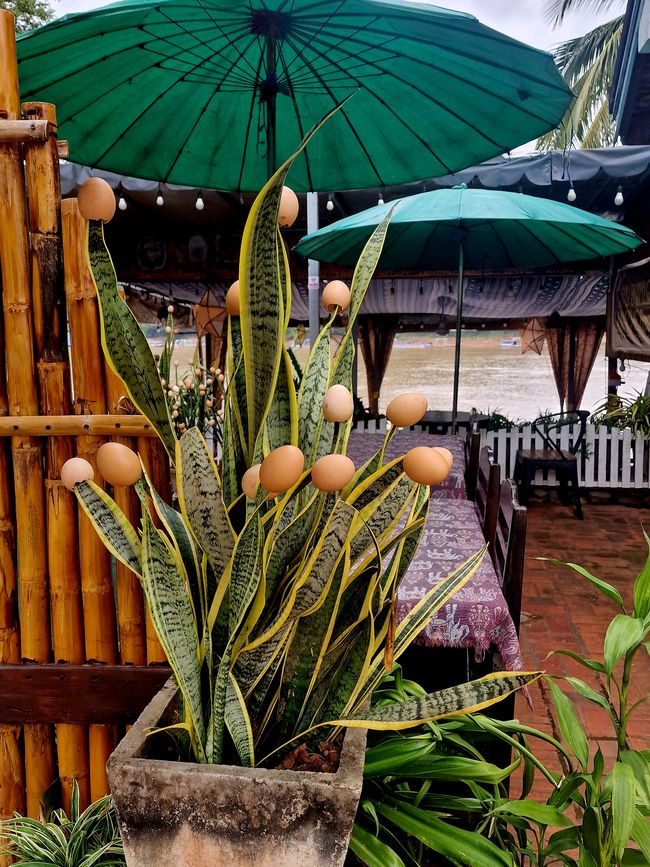 Nach Ostern ist vor Ostern