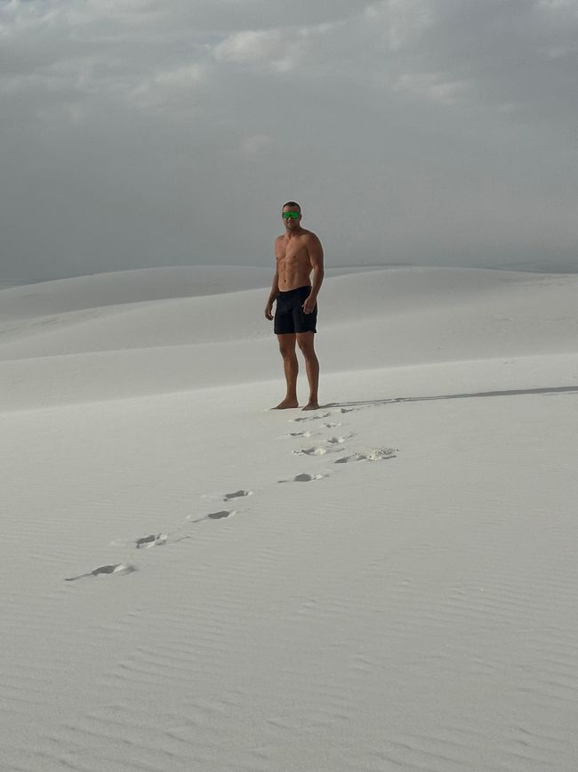 Arizona/ New Mexico/ Petrified Forest/ White Sands