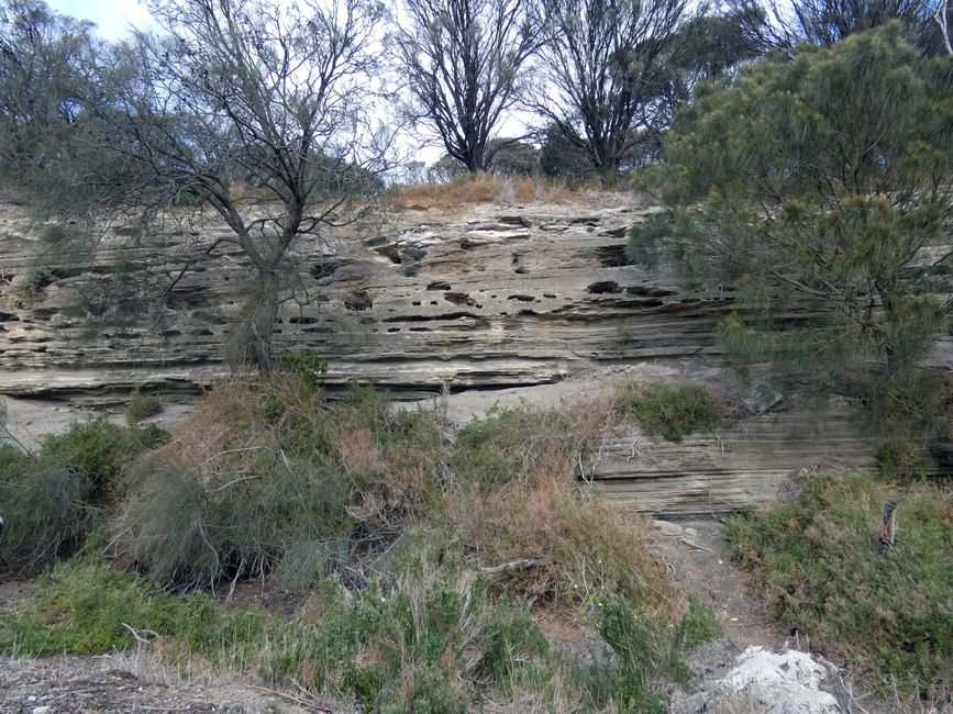 Tower Hill Wildlife Reserve