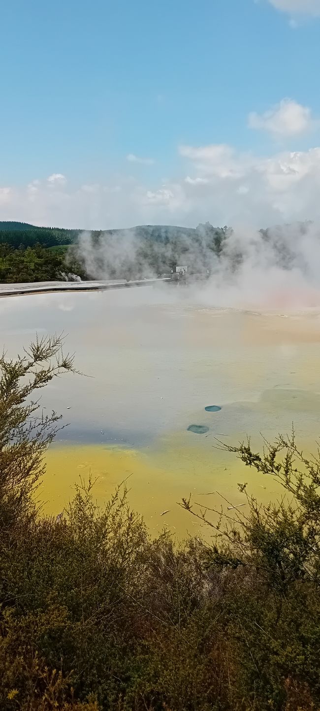 Wai-O-Tapu / Rotorua