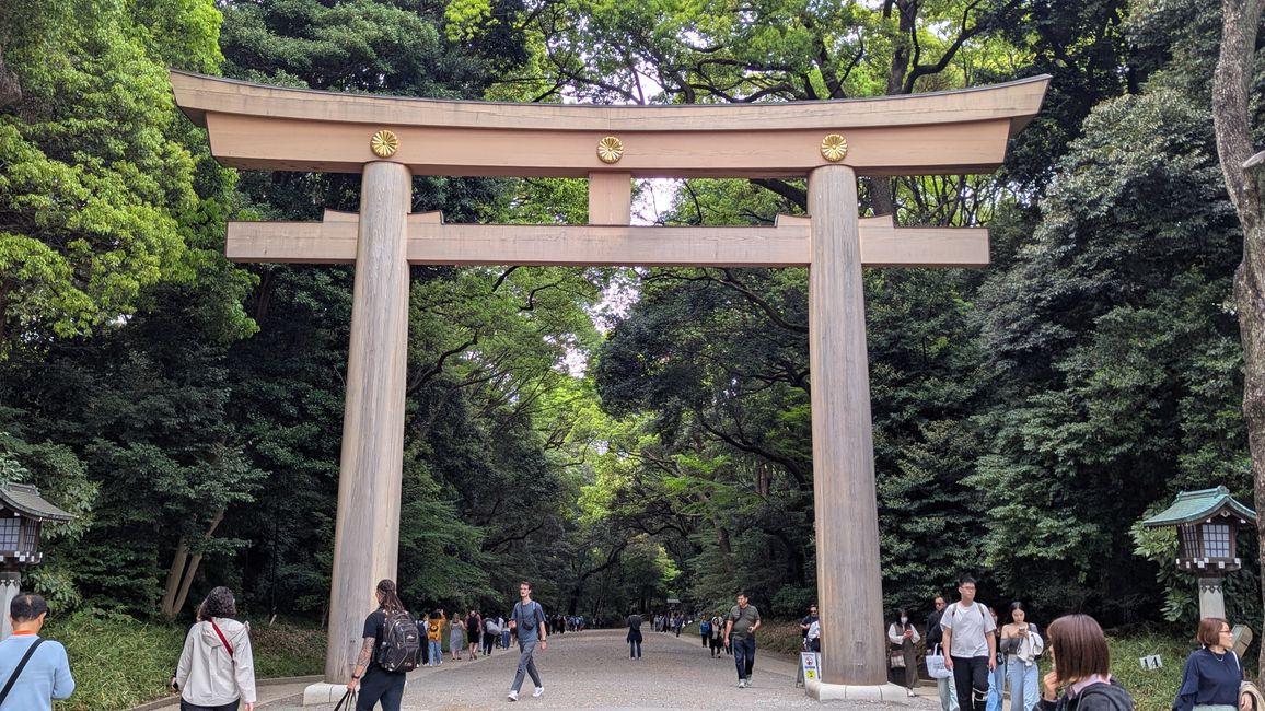 Sightseeing in Shibuya und Shinjuku