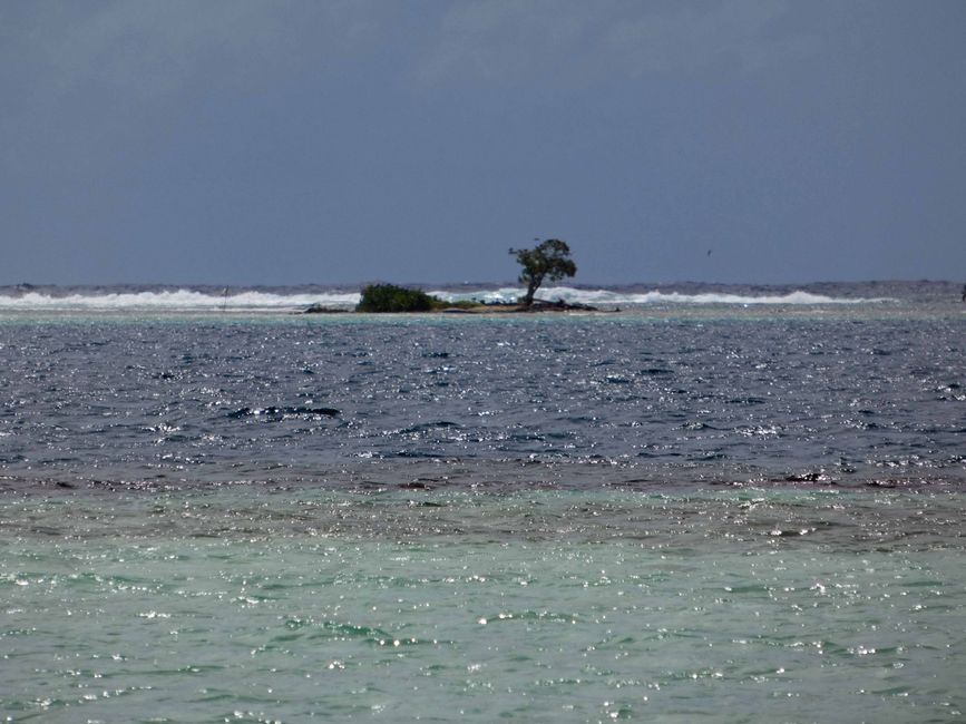Uturoa - Raiatea