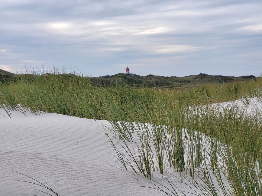 Nordsee, dunes et vie insulaire - Amrum