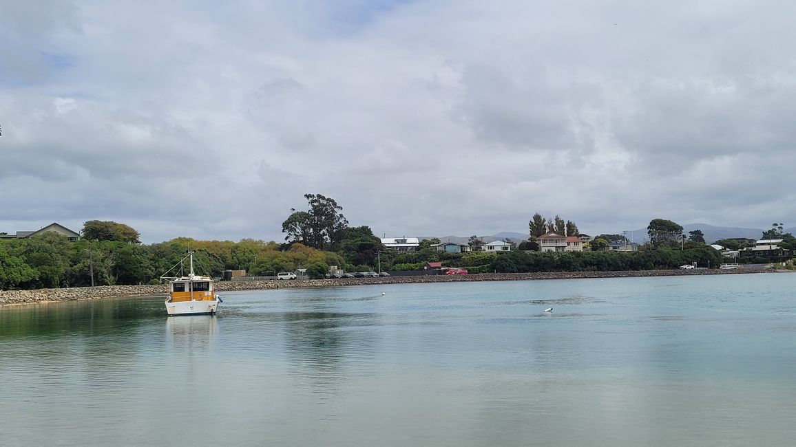 29.Januar-27.Februar 2025 Neuseeland
6.Februar