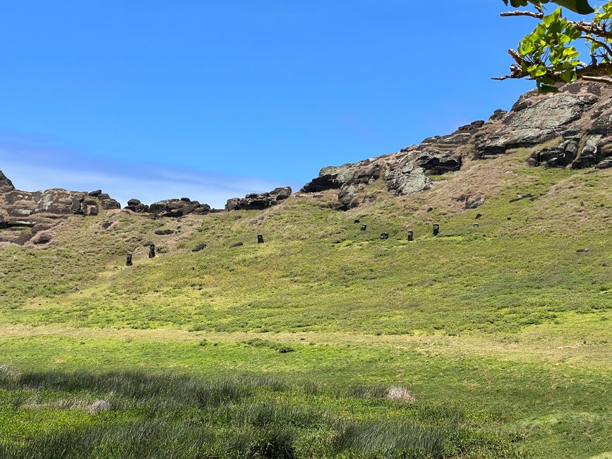 20: Blick auf die gegenüberliegende Seite des Kraters, - auch hier finden sich einige Moai. "Dahinter", auf der Krateraussenseite liegt die "Fabrik"