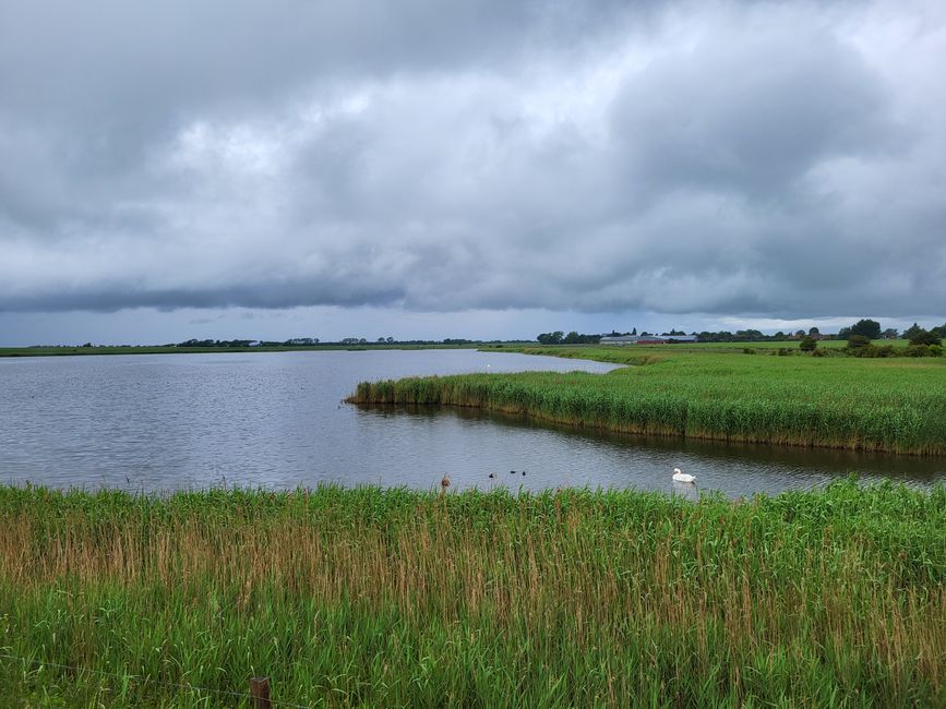 Wanderung bei Orth zum Flügger Leuchtturm