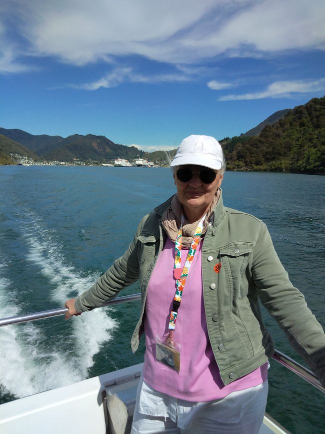 Catamaran cruise through the Marlborough Sounds