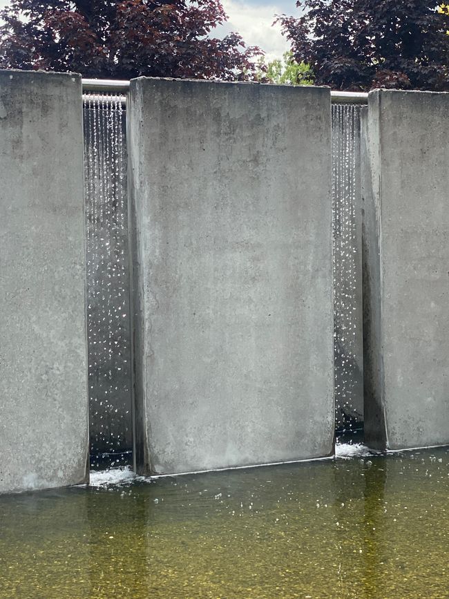 Der Wassergarten startet hier