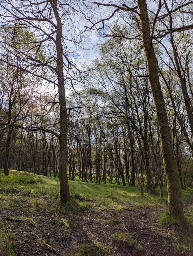 Wald und Wiese ist hier viel schöner als Zuhause!