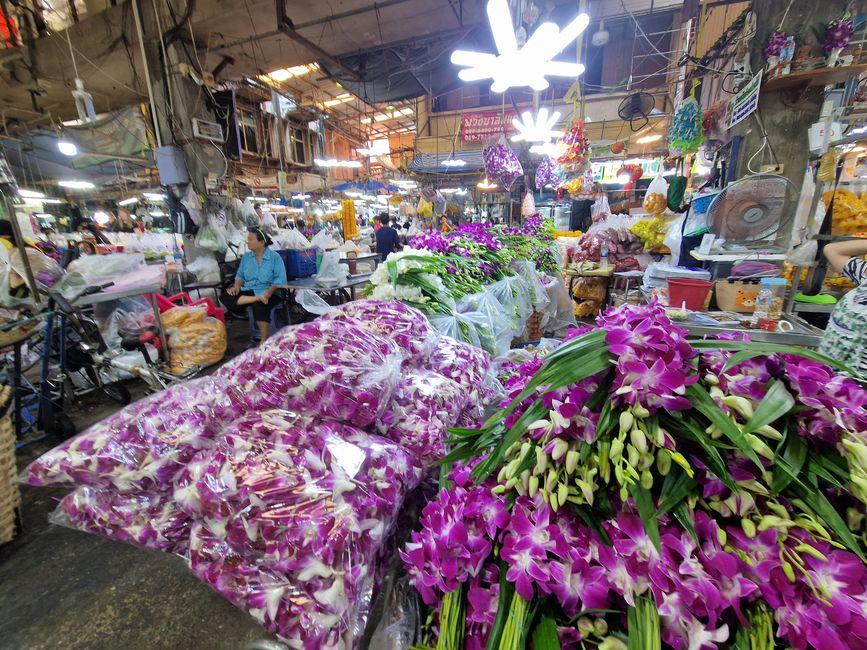 Nunca digas nunca más - Bangkok agridulce y nuestro camino a casa