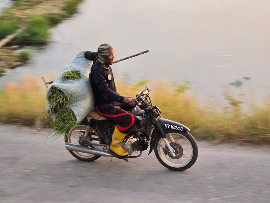 Langkawi - Reif für die Insel!