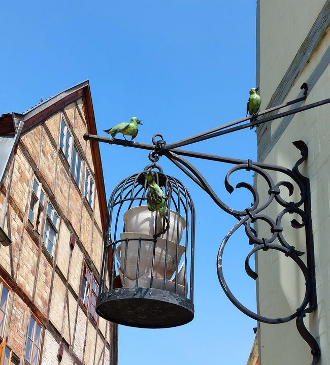 Quedlinburg - eine wunderschöne Altstadt im Harz