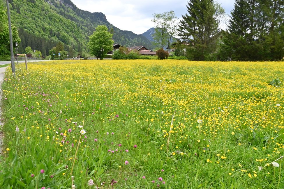 Mittenwald, Oberammergau und die Alpen