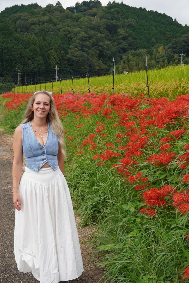 Unser Farmstay in Wazuka