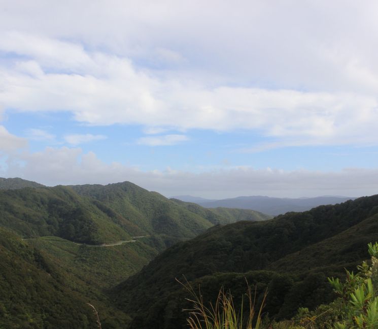 Mirador del Cruce Rimutaka