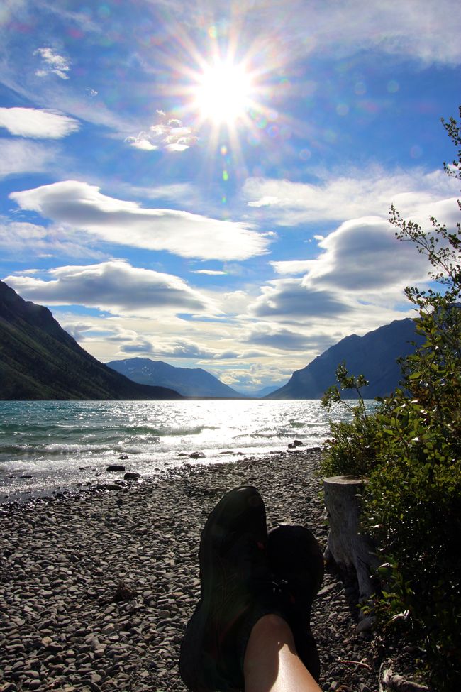 Tag 27: Bärenshow & fantastische Bergwelten - zurück nach Yukon/Kanada