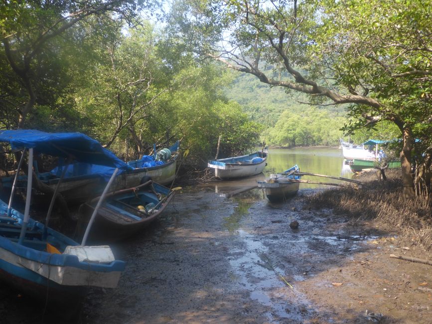 Je marche autour des lagunes