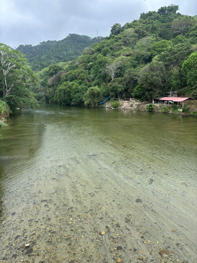 Settimana 16: Santa Marta